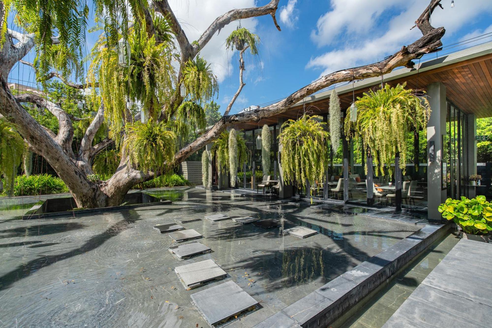 V Villas Hua Hin - Mgallery Collection Exteriör bild